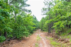 Stone Bridge Phase VI Tract 441