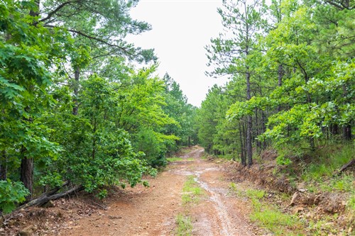 Stone Bridge Phase VI Tract 441