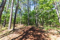 Stone Bridge Phase VI Tract 441