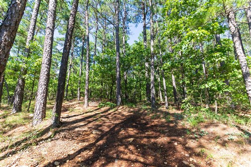 Stone Bridge Phase VI Tract 441
