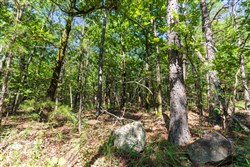 Stone Bridge Phase VI Tract 441