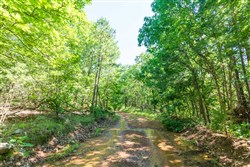 Stone Bridge Phase VI Tract 441