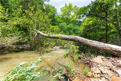 Stone Bridge Phase VI Tract 445