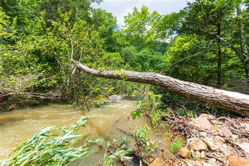 Stone Bridge Phase VI Tract 445