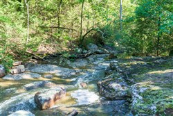 Stone Bridge Phase VI Tract 445