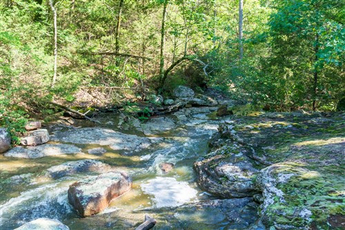 Stone Bridge Phase VI Tract 445