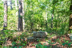 Stone Bridge Phase VI Tract 445