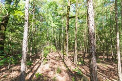 Stone Bridge Phase VI Tract 445