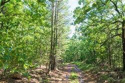 Stone Bridge Phase VI Tract 445