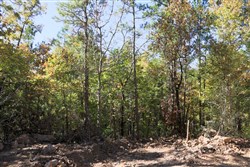 Stone Creek Phase I Tract 102