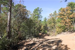 Stone Creek Phase I Tract 102