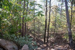 Stone Creek Phase I Tract 102