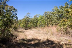 Stone Creek Phase I Tract 108
