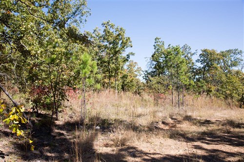 Stone Creek Phase I Tract 108
