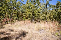 Stone Creek Phase I Tract 108