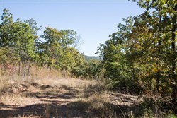 Stone Creek Phase I Tract 108