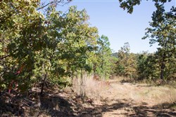 Stone Creek Phase I Tract 108