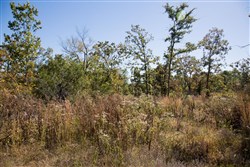 Stone Creek Phase I Tract 111