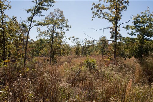 Stone Creek Phase I Tract 111