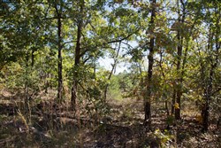 Stone Creek Phase I Tract 111