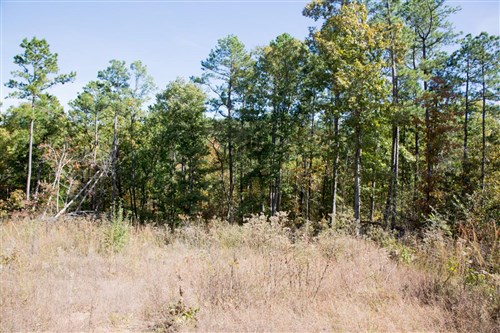 Stone Creek Phase I Tract 144