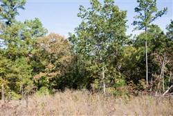Stone Creek Phase I Tract 144