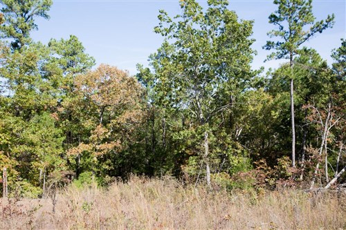 Stone Creek Phase I Tract 144