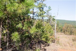 property photo for Stone Creek Phase I Tract 153, 7.01 acres for sale in Latimer County, Oklahoma