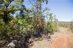 property photo for Stone Creek Phase I Tract 153, 7.01 acres for sale in Latimer County, Oklahoma