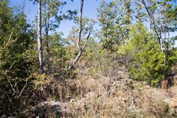 property photo for Stone Creek Phase I Tract 153, 7.01 acres for sale in Latimer County, Oklahoma