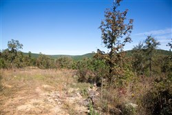 property photo for Stone Creek Phase I Tract 153, 7.01 acres for sale in Latimer County, Oklahoma