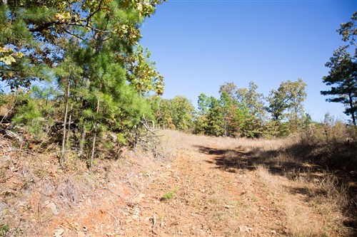 Stone Creek Phase I Tract 166