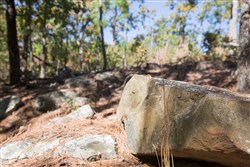 Stone Creek Phase I Tract 166