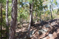 Stone Creek Phase I Tract 166