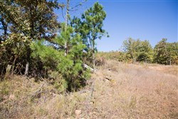 Stone Creek Phase I Tract 166