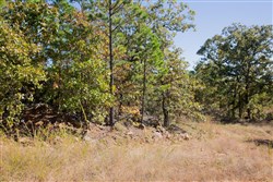 Stone Creek Phase I Tract 173