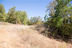 Stone Creek Phase I Tract 173