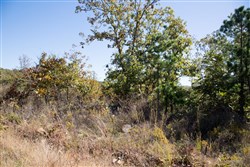 Stone Creek Phase I Tract 173