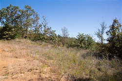 Stone Creek Phase I Tract 173