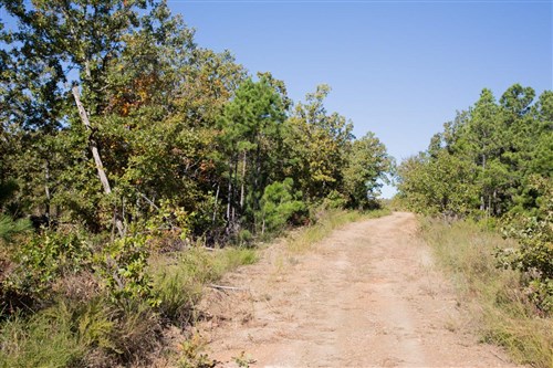 Stone Creek Phase I Tract 179