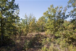 Stone Creek Phase I Tract 179