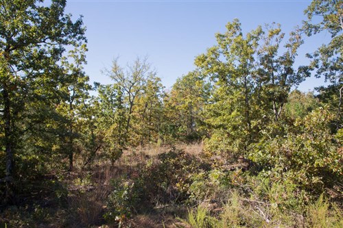 Stone Creek Phase I Tract 179