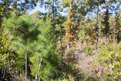 Stone Creek Phase I Tract 179