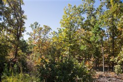 Stone Creek Phase I Tract 179
