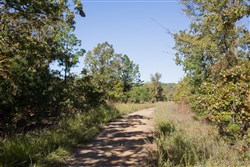 Stone Creek Phase I Tract 179