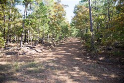 property photo for Stone Creek Phase I Tract 187, 8.95 acres for sale in Latimer County, Oklahoma