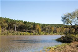 property photo for Stone Creek Phase I Tract 187, 8.95 acres for sale in Latimer County, Oklahoma
