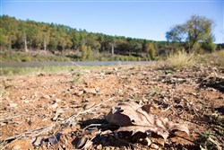 property photo for Stone Creek Phase I Tract 187, 8.95 acres for sale in Latimer County, Oklahoma