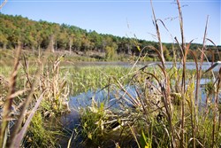 property photo for Stone Creek Phase I Tract 187, 8.95 acres for sale in Latimer County, Oklahoma