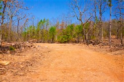 property photo for Stone Creek Phase II Tract 100, 11.02 acres for sale in Latimer County, Oklahoma